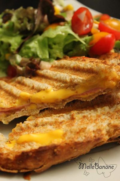 Pain de mie complet au lait ribot