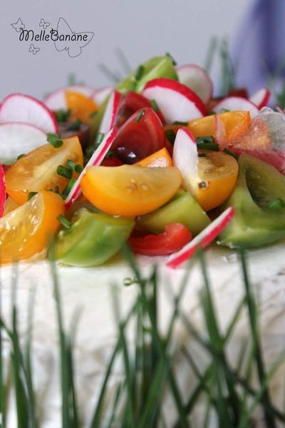 Sandwich cake saumon concombre