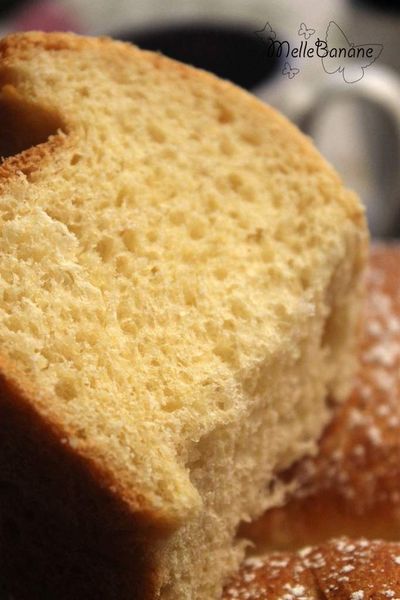 Gros escargot (Brioche)