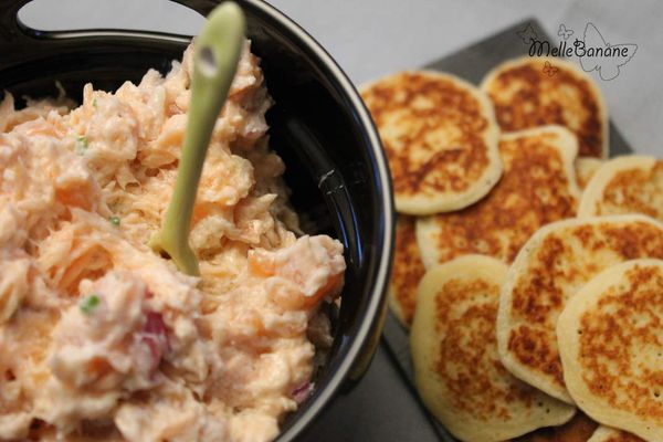 Tartinade (Rillettes) aux deux saumon