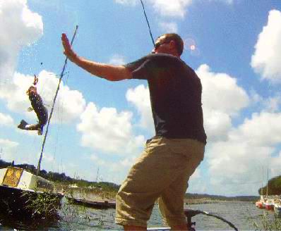 FLIPPING