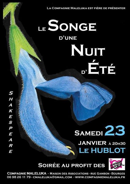 Songe d'une nuit d'été