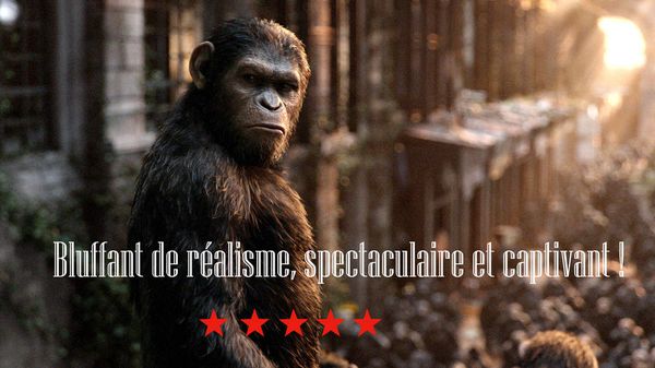 La planète des Singes, toute une histoire. "Dawn of the Planet of the Apes", un chef d'oeuvre !