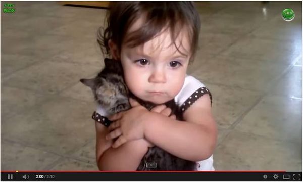 Is that your baby? (Little Girl Loves Her Kitten). Cliquez sur l'image pour voir le film sur Youtube. Elle est adorable, c'est une petite fille qu'ils ont eue grâce à la FIV, les lecteurs de youtube ont aidé les parents à trouvé l'argent pour financer la FIV! Pour connaître leur histoire aller sur leur chaîne youtube "Devin and Erica".