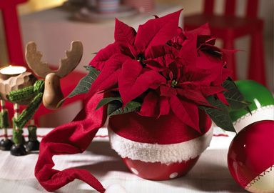 Bouffées de Noëls anciens...