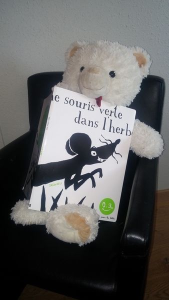 Une souris verte de Thierry Dedieu