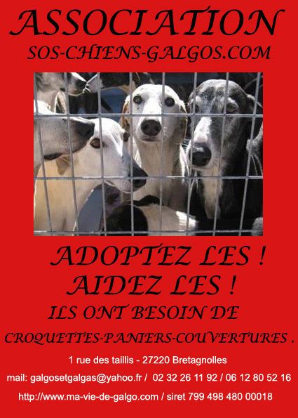 association sos chiens galgos