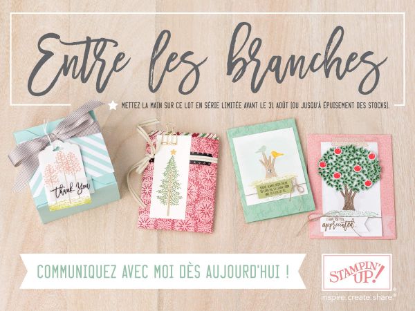 Set exclusif entre les branches