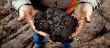 Il gas di scisto