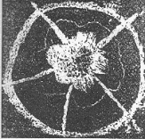 Atomo magnetico e monopoli nel ritmo Sole - Terra