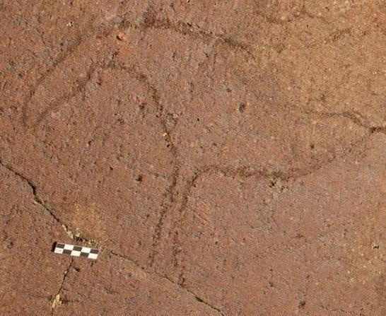 I disegni rupestri trovati nell'Altai tra i più antichi in Siberia