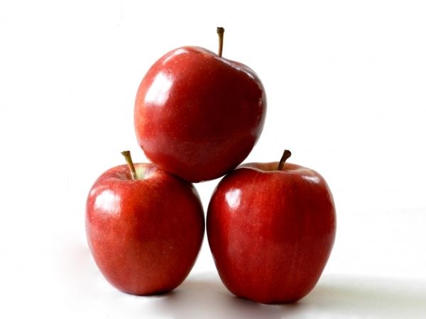 LE SAGE ET LA POMME