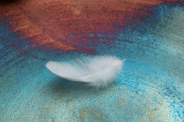 SYNCHRONICITES : LA OU L'UNIVERS GUIDE NOS PAS