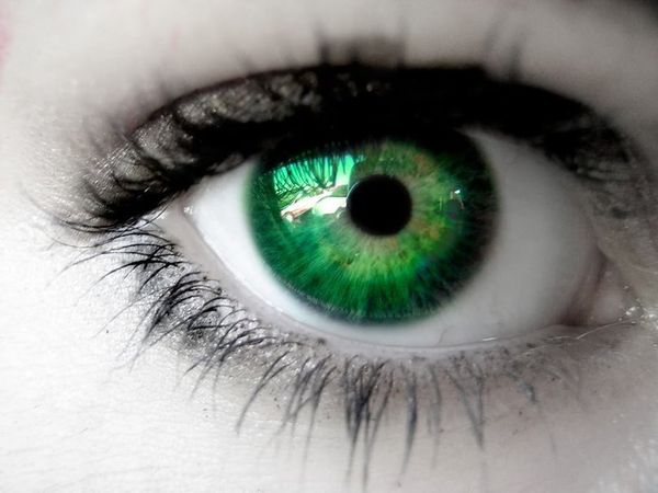 CARACTERISATION DES FAITS DANS LES PHENOMENES PARANORMAUX