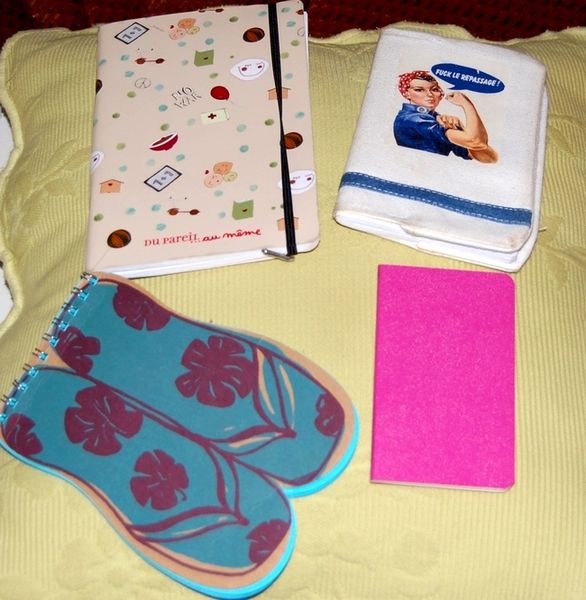 La fille qui avait des carnets qui ne servaient a rien