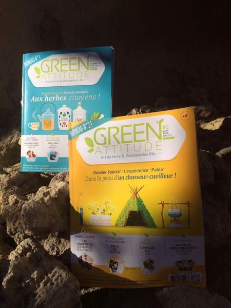 Green Attitude Mag, green, bio et beau
