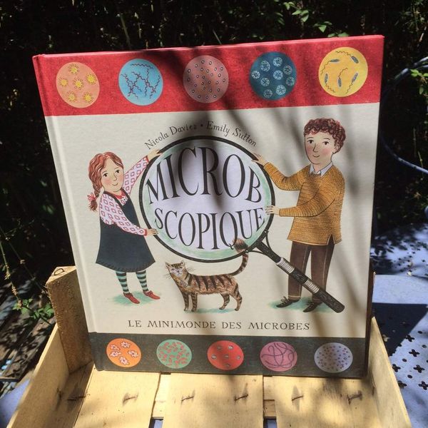 Insectes, microbes,bestioles et autres curiosités