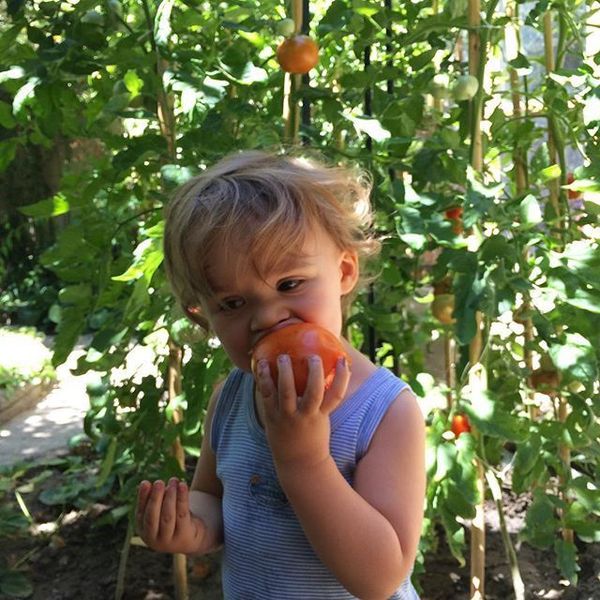 Faire aimer les fruits et les légumes à ses enfants avec un pique nique