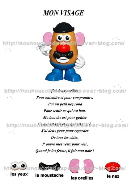 .. Le schéma corporel ..