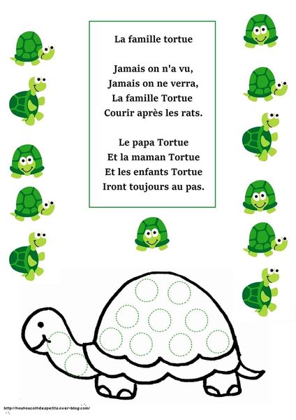 .. Animaux .. " la famille tortue "