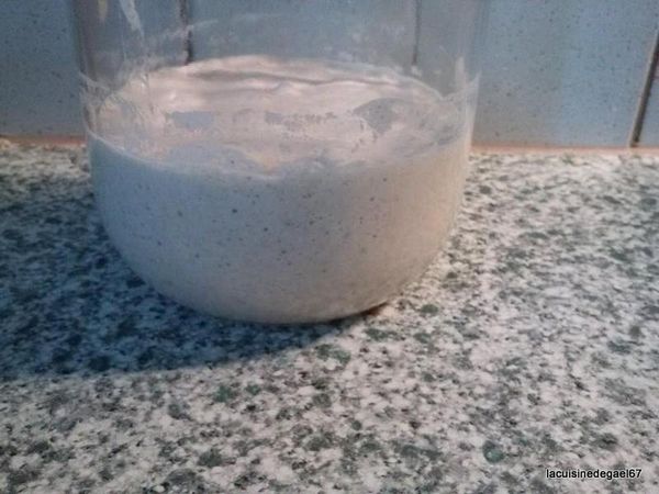 Mon levain, "Bulle", c'est tout une histoire (levain semi ferme)
