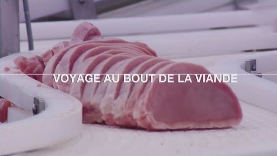 Documentaire - Voyage au bout de la viande