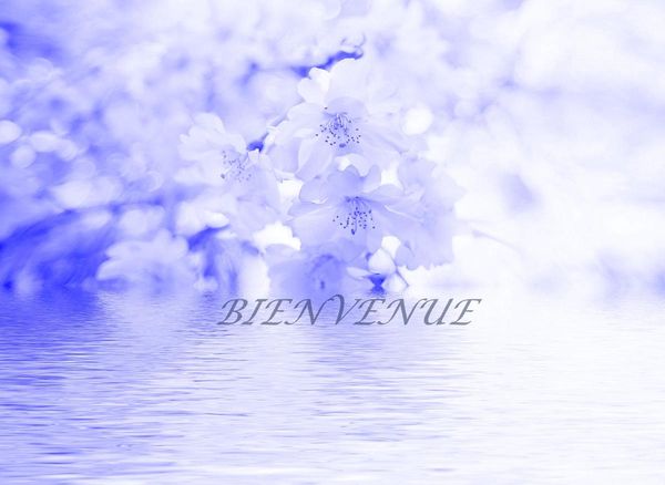 Bienvenue