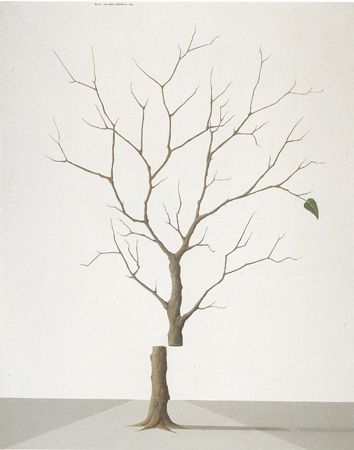 http://www.remyvandenabeele.com/work/peintures_periode_blanche/page_droite_peintures_periode_blanche.html