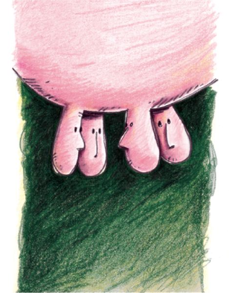 Petites comédies rurales, de Roland Fichet
