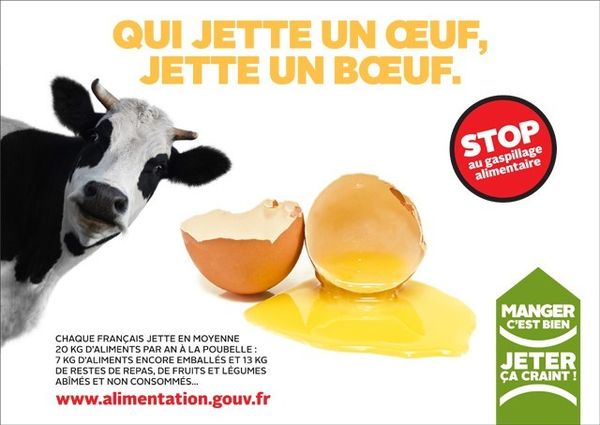 Le bien-manger, l'anti-gaspillage et le recyclage au cœur du foyer des jeunes de Nexon