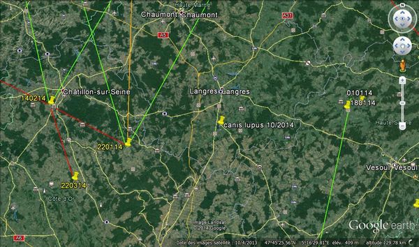 Loup Haute-Marne: le canidé disperse sur Langres!