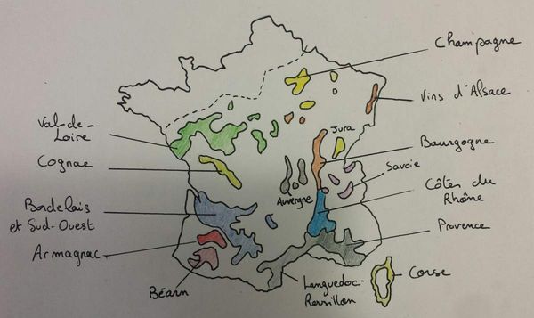 Croquis des vignobles