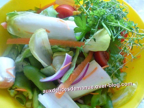 concentré de bouillon de légumes