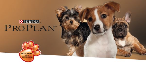 Pro Plan Small et Mini