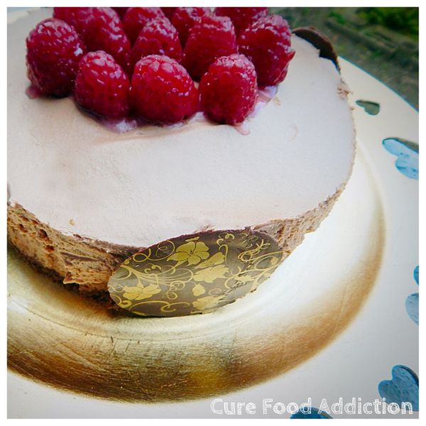 Entremets chocolat framboise
