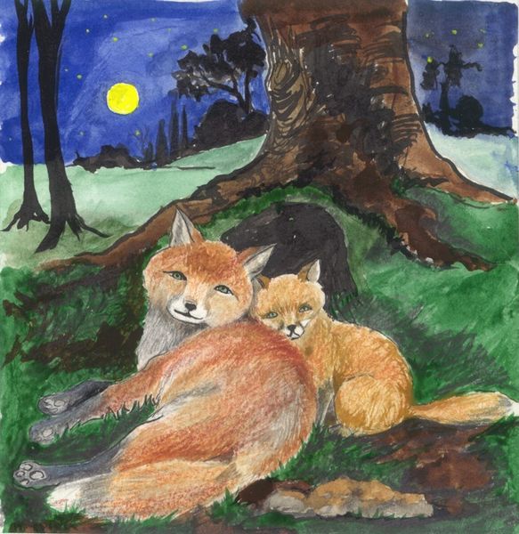 Le petit renard