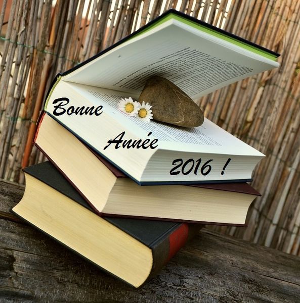 Bonne année 2016