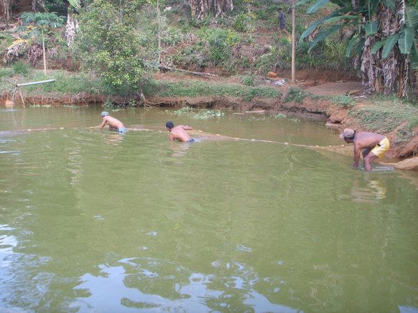 Développement de la pisciculture dans les hauts-plateaux malgaches: Lancement du projet AMPIANA