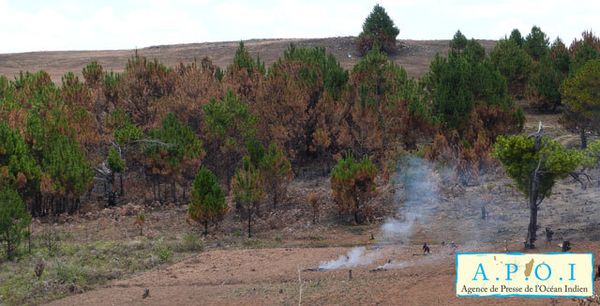 Les exploitations minières menacent les parcs (suite)