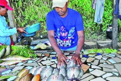 Journées aquacoles – Des poissons d’élevage certifiés en vente