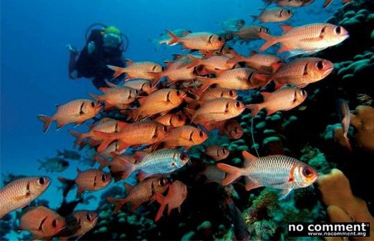Nosy Tany Kely: L'île infinitésimale
