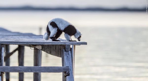 Le canal des Pangalanes, un des plus beaux paysages de Madagascar