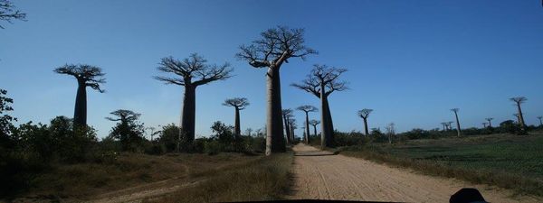 Partir à Madagascar