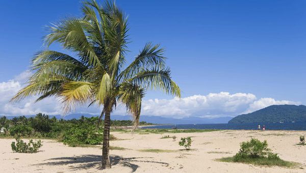 Tourisme : Madagascar, une île à découvrir