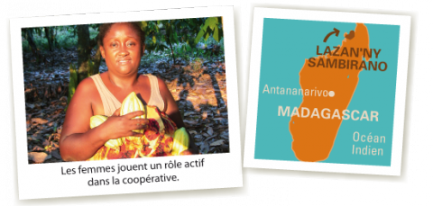 Production de cacao - Un exemple de commerce équitable