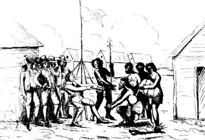 Notes du passé: Des vice-rois à Fort-Dauphin