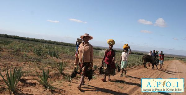 Des actions en faveur du Sud