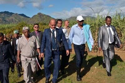 L’État investit dans la canne à sucre