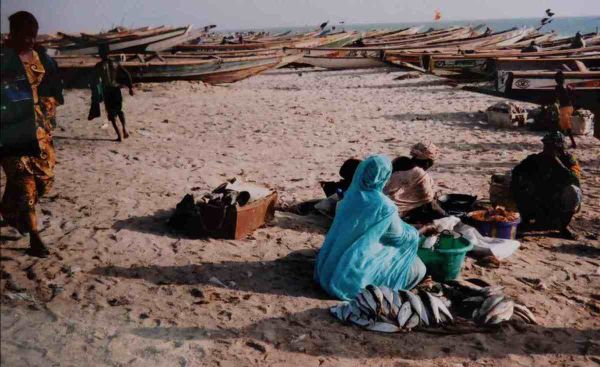 Les couleurs de la Mauritanie