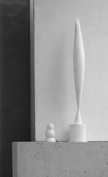 L'oiseau dans l'espace - 1923